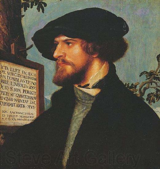 Hans holbein the younger Portrait of Bonifacius Amerbach Norge oil painting art